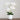26” Artificial Phalaenopsis Orchid Arrangement in Decorative Ceramic Vase (Real Touch)