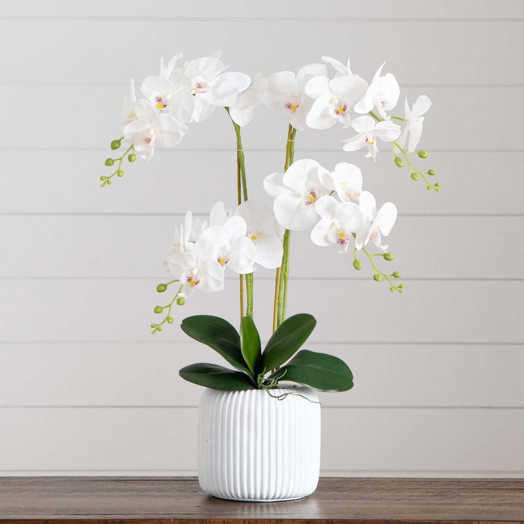 26” Artificial Phalaenopsis Orchid Arrangement in Decorative Ceramic Vase  (Real Touch)