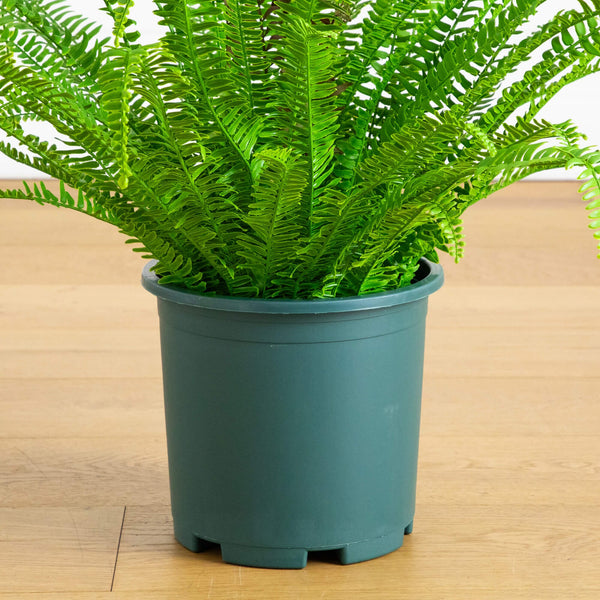 27" UV Resistant Artificial Real Touch Boston Fern Plant (Indoor/Outdoor)