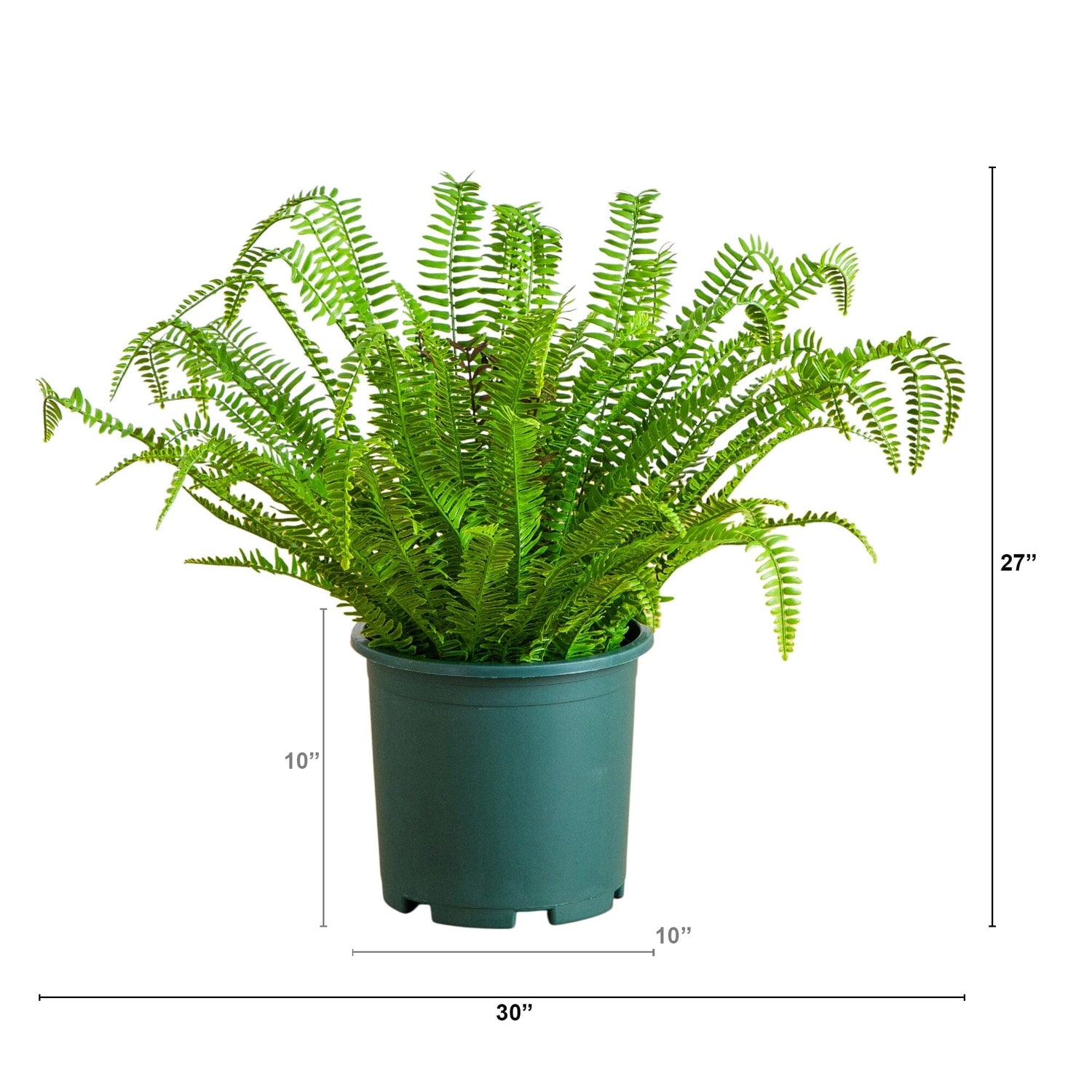 27" UV Resistant Artificial Real Touch Boston Fern Plant (Indoor/Outdoor)