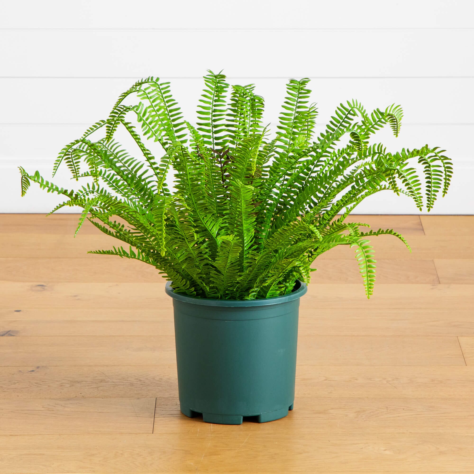 27-in UV Resistant Artificial Real Touch Boston Fern Plant (Indoor/Out ...