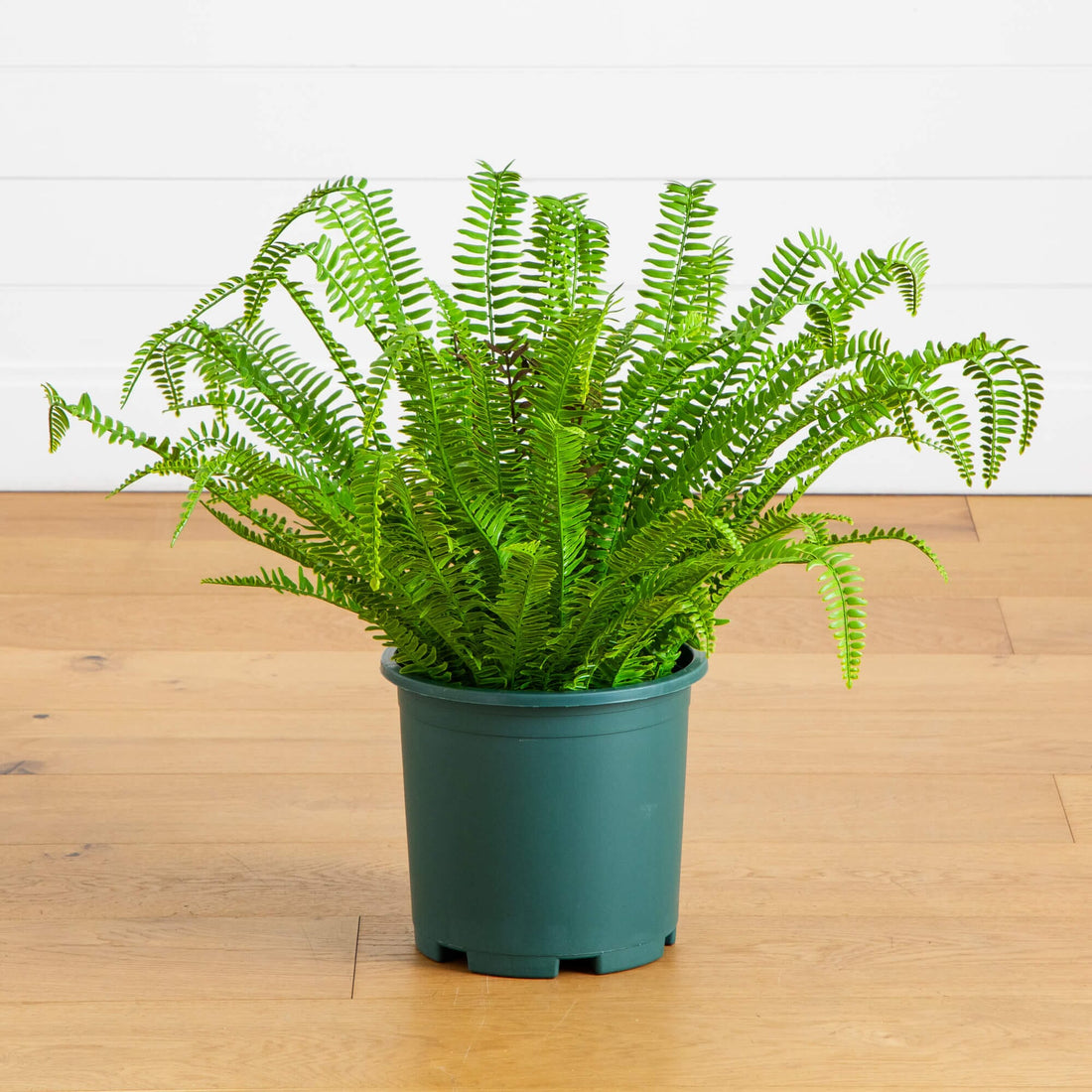 large fern plant indoor 27-in UV Resistant Artificial Real Touch Boston Fern Plant (Indoor/Outdoor)