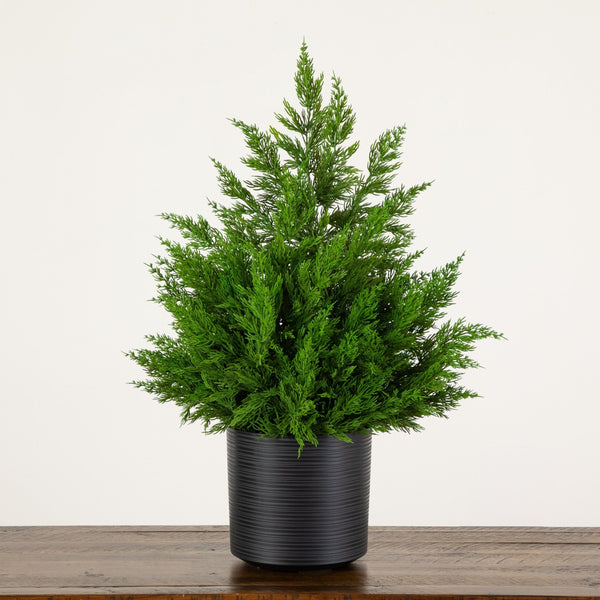 28” Artificial Real Touch Winter Cypress Bush in Black Decorative Planter