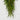 28” Fern Artificial Teardrop (Set of 2)