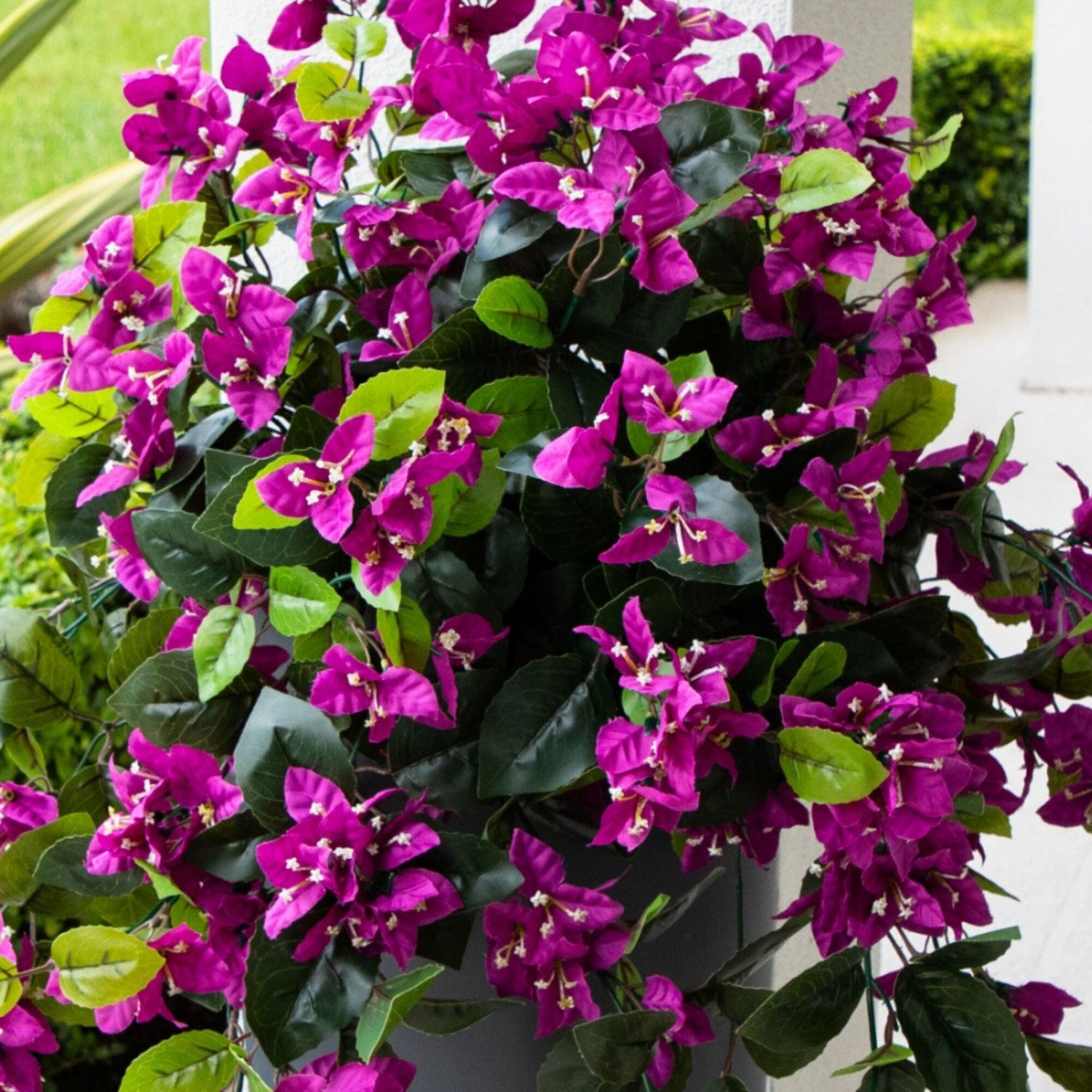 28” UV Resistant Artificial Bougainvillea Hanging  Plant (Indoor/Outdoor) - Set of 2