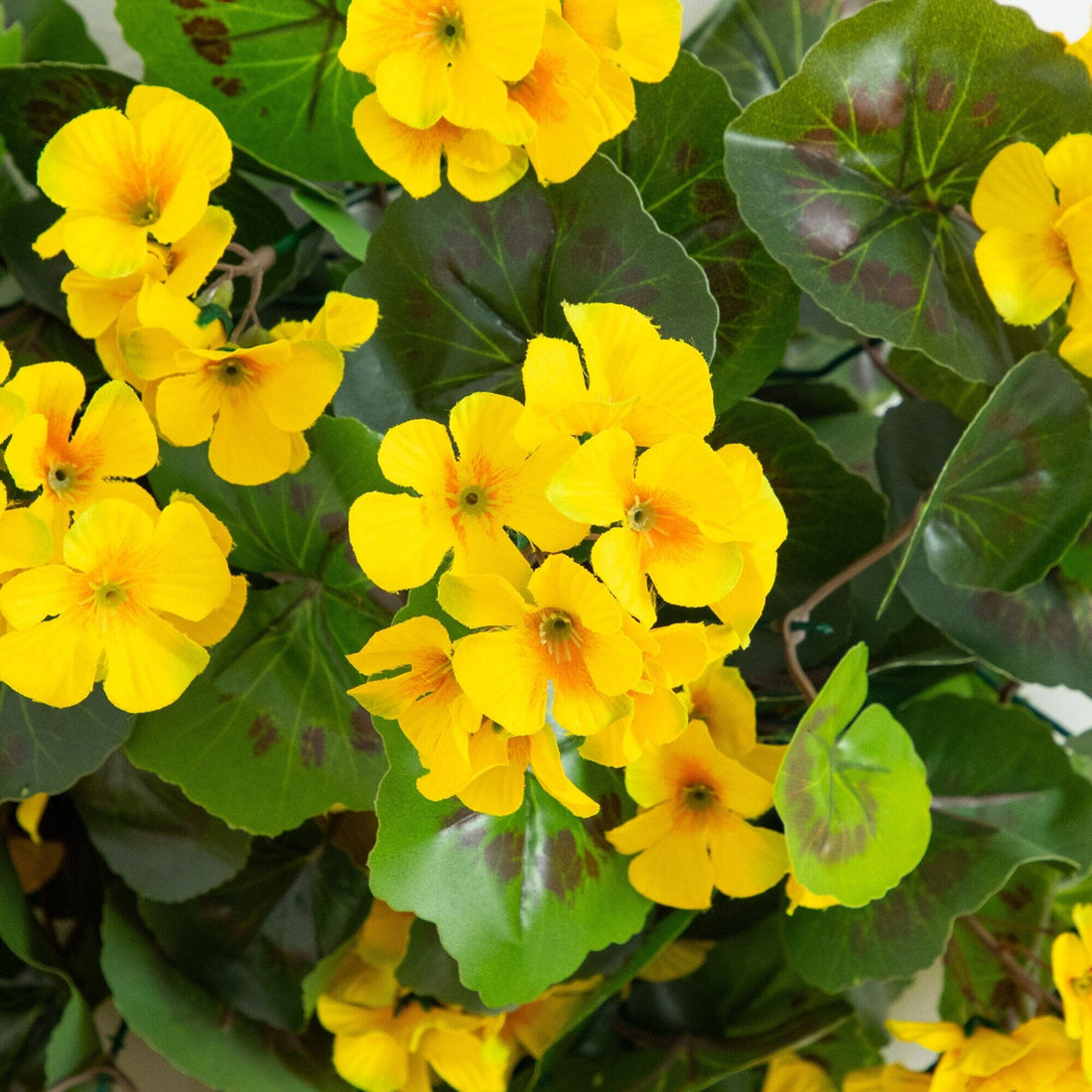 yellow leaves on hanging plants 29" UV Geranium Hanging Plant Set of 2 (Yellow) – Nearly Natural