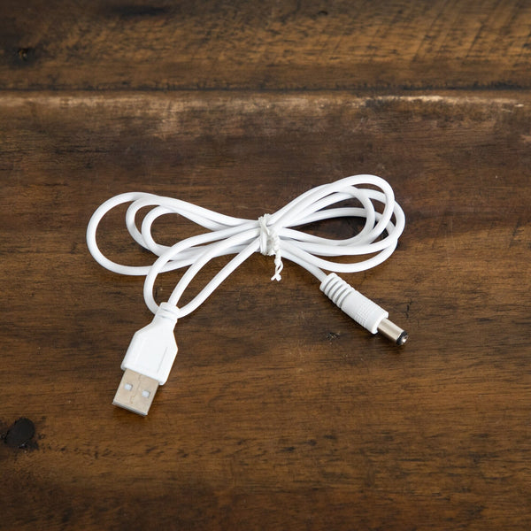 2' Pre-Lit Artificial Valentine's Day Twig Tree with 24 Rose Shaped LED Lights