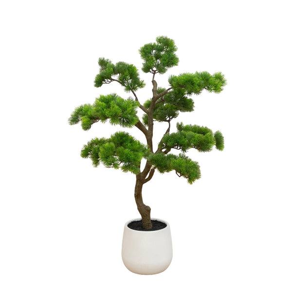 3’ Artificial Bonsai Style Cedar Tree in Decorative White Planter