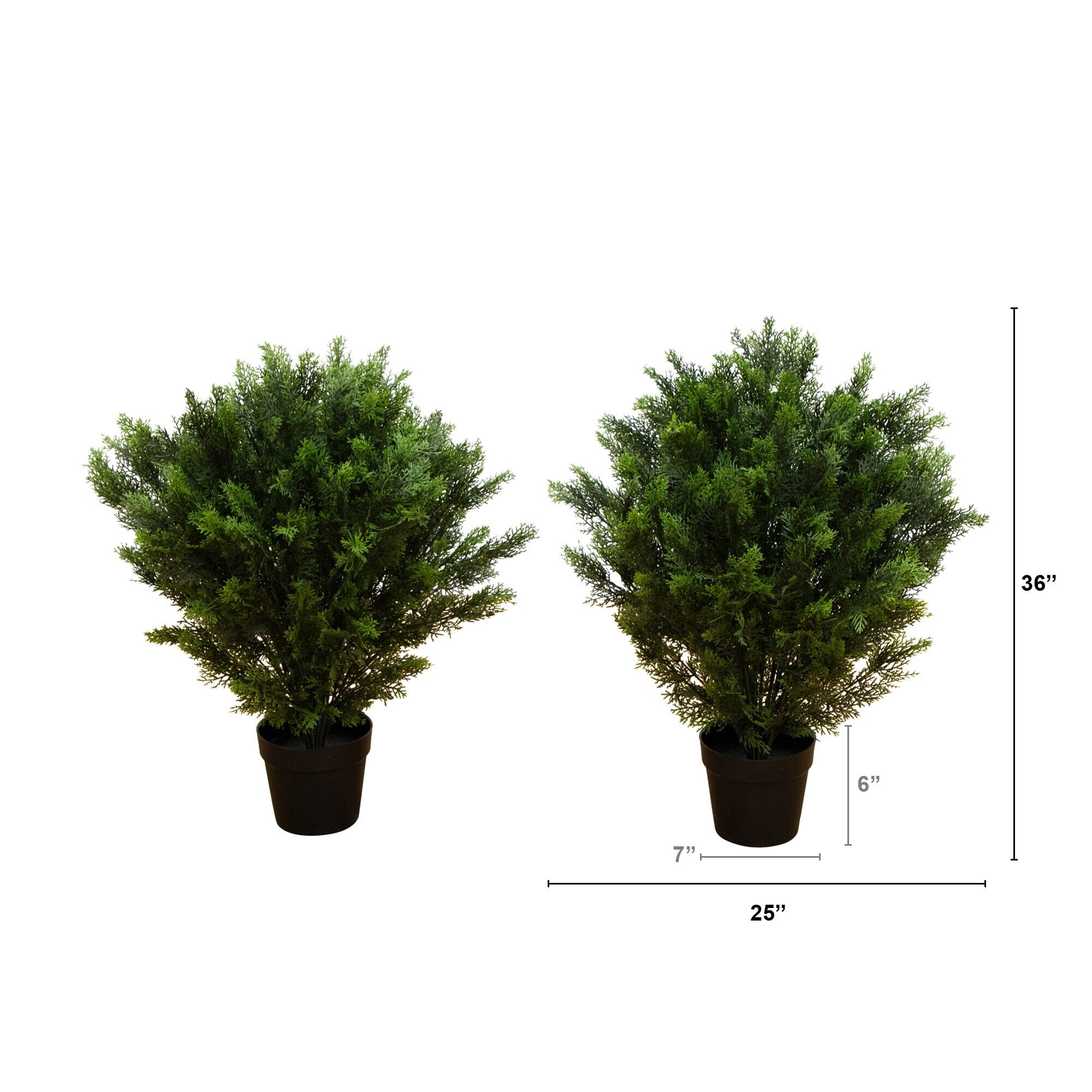 3' Cedar Bush UV Resistant (Indoor/Outdoor) - Set of 2 | Nearly