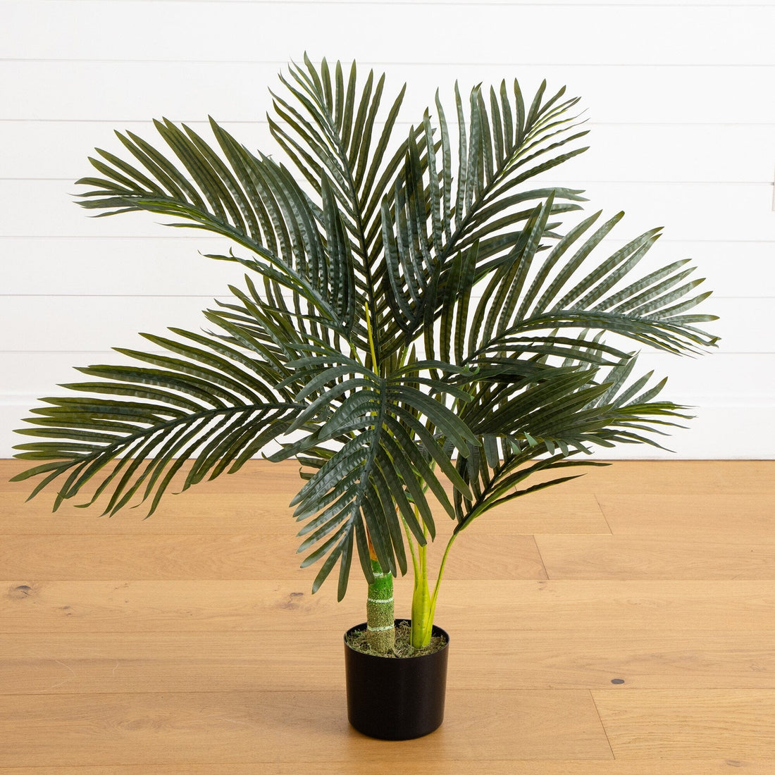 golden palm plant 3’ Artificial Golden Cane Palm Tree