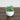 3" Artificial Mini Succulent Plants in Decorative White Oval Planters - Set of 6