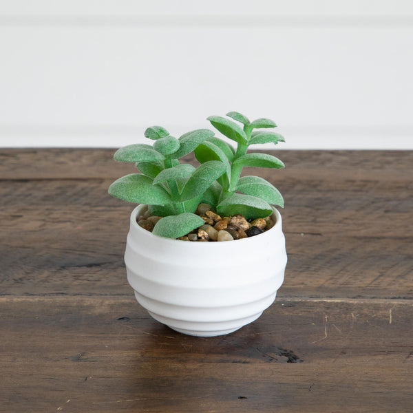 3" Artificial Mini Succulent Plants in Decorative White Oval Planters - Set of 6