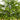 3' Artificial Real Touch Cedar Tree in Decorative Gray Planter