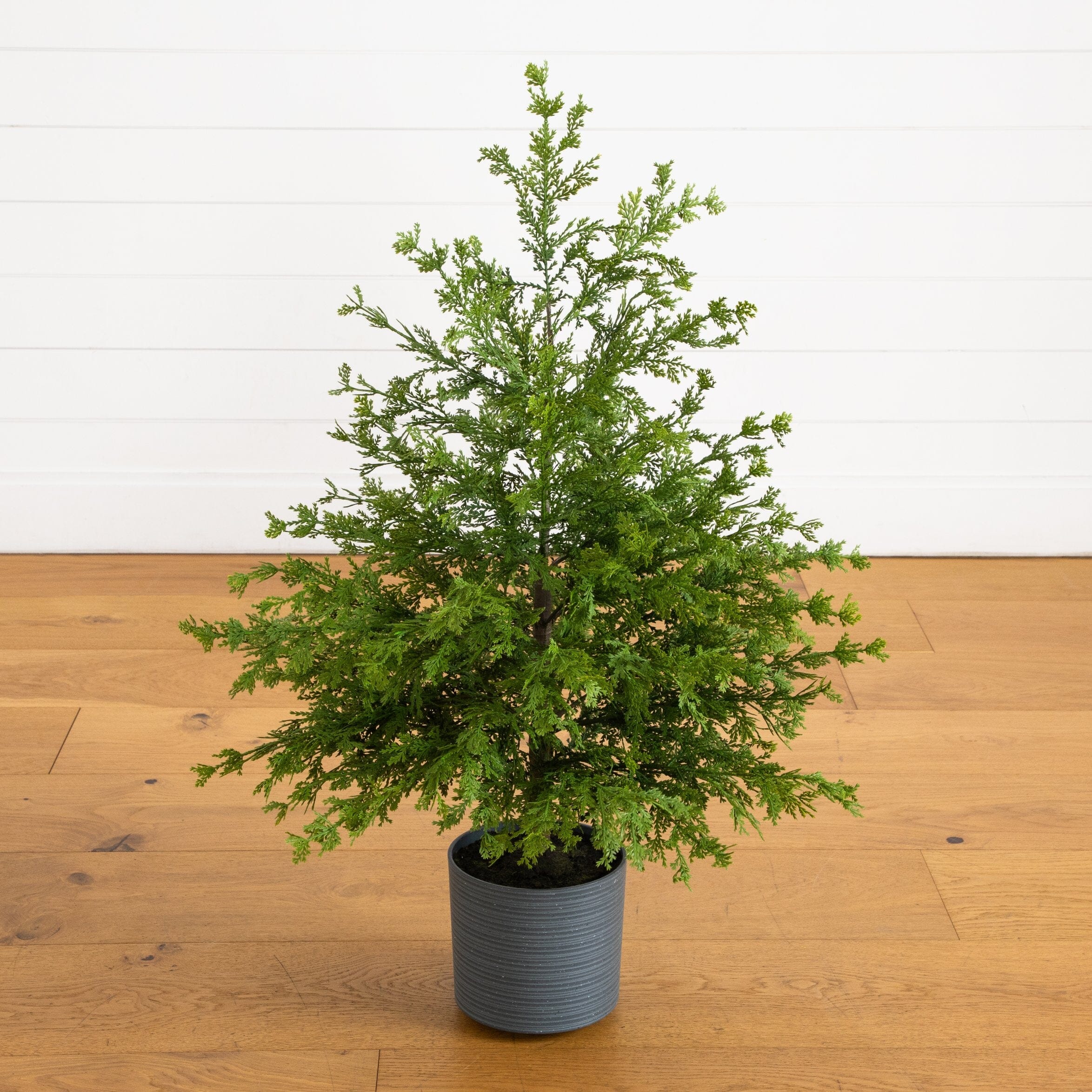 3' Artificial Real Touch Cedar Tree in Decorative Gray Planter
