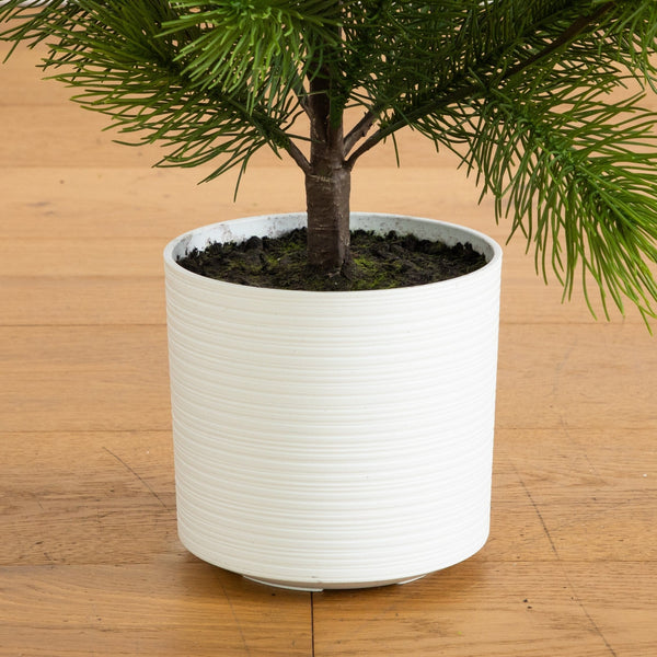3' Artificial Real Touch Masson Pine Christmas Tree in White Decorative Planter