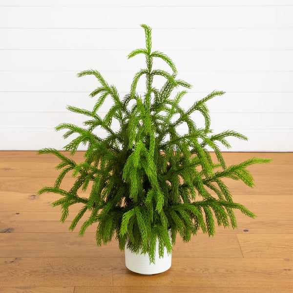 3' Artificial Real Touch Norfolk Island Pine Christmas Tree with Natural Look in White Decorative Planter