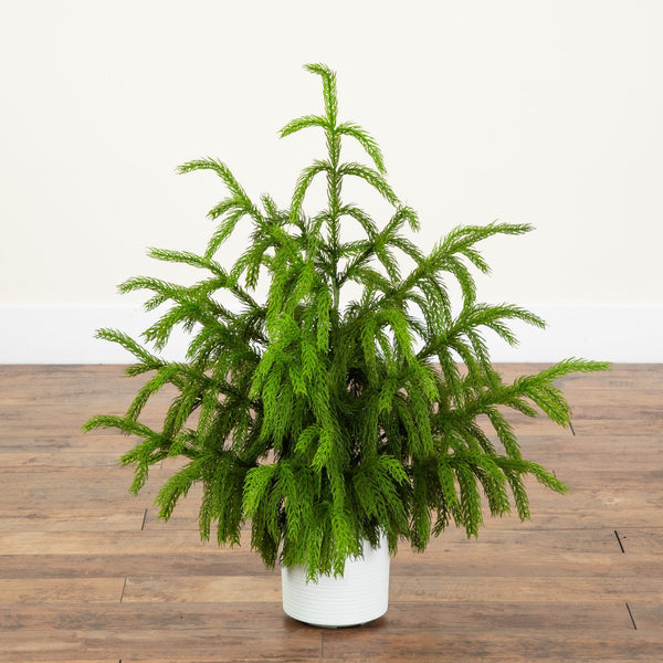 3' Artificial Real Touch Norfolk Island Pine Christmas Tree with Natural Look in White Decorative Planter