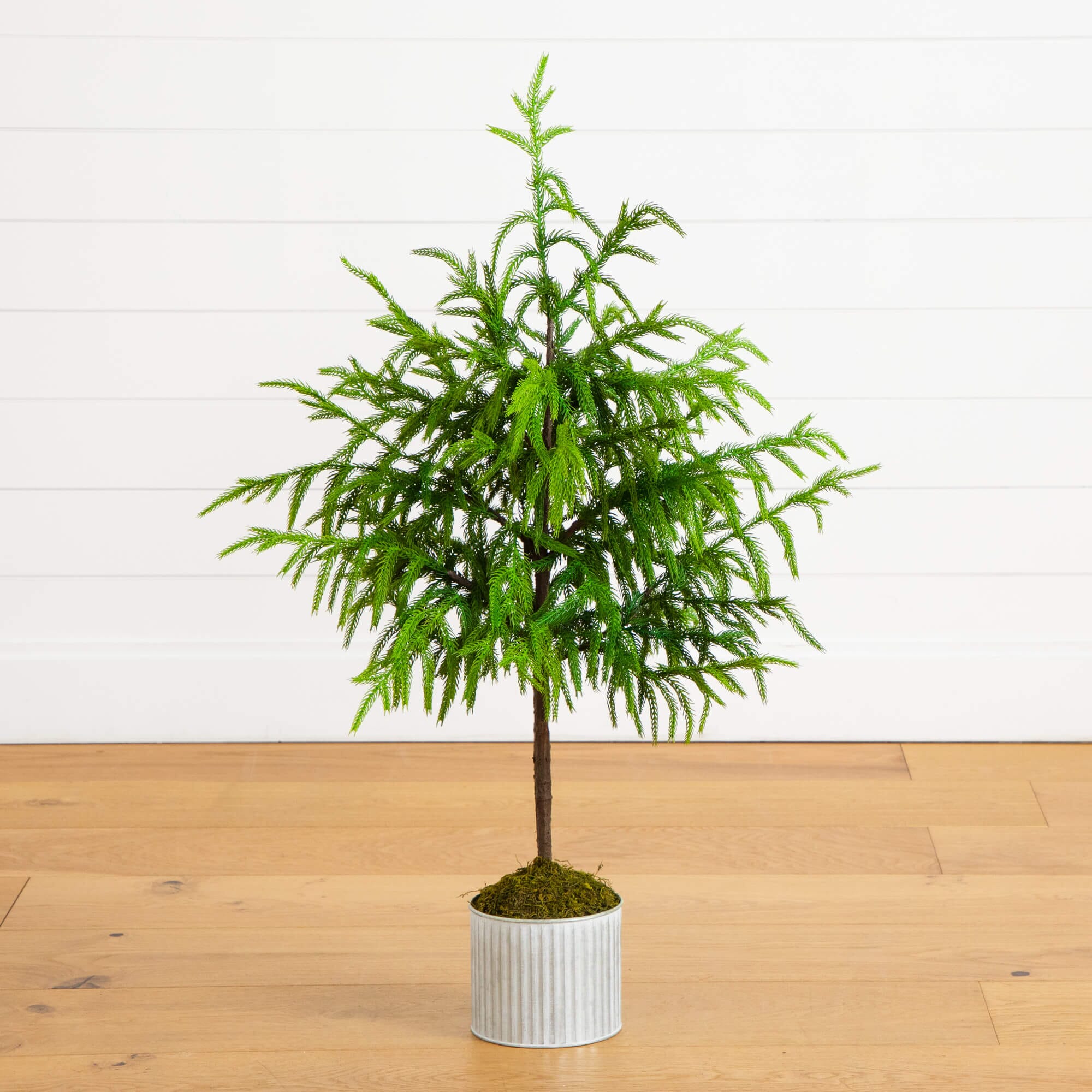 3' Artificial Real Touch Norfolk Island Pine in Metal Tin Planter