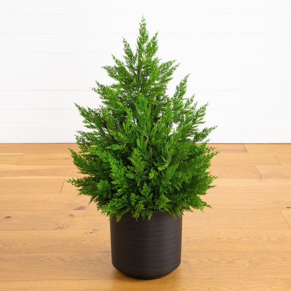 3' Artificial Real Touch Winter Cypress Bush in Black Decorative Planter