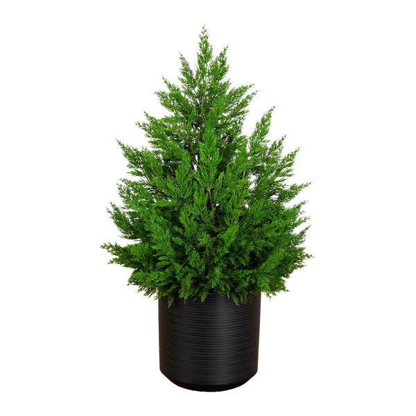 3' Artificial Real Touch Winter Cypress Bush in Black Decorative Planter