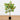 3’ Artificial Tangerine Tree