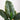 3’ Banana Artificial Tree in Terracotta Planter