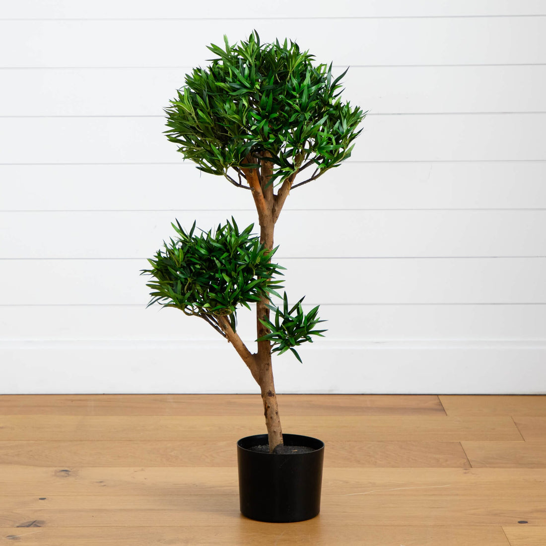 podocarpus bonsai tree 3’ Bonsai Styled Podocarpus Artificial Tree