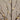 3' 5' 6' Artificial Brown Birch Trees with Warm White LED Lights - Set of 3