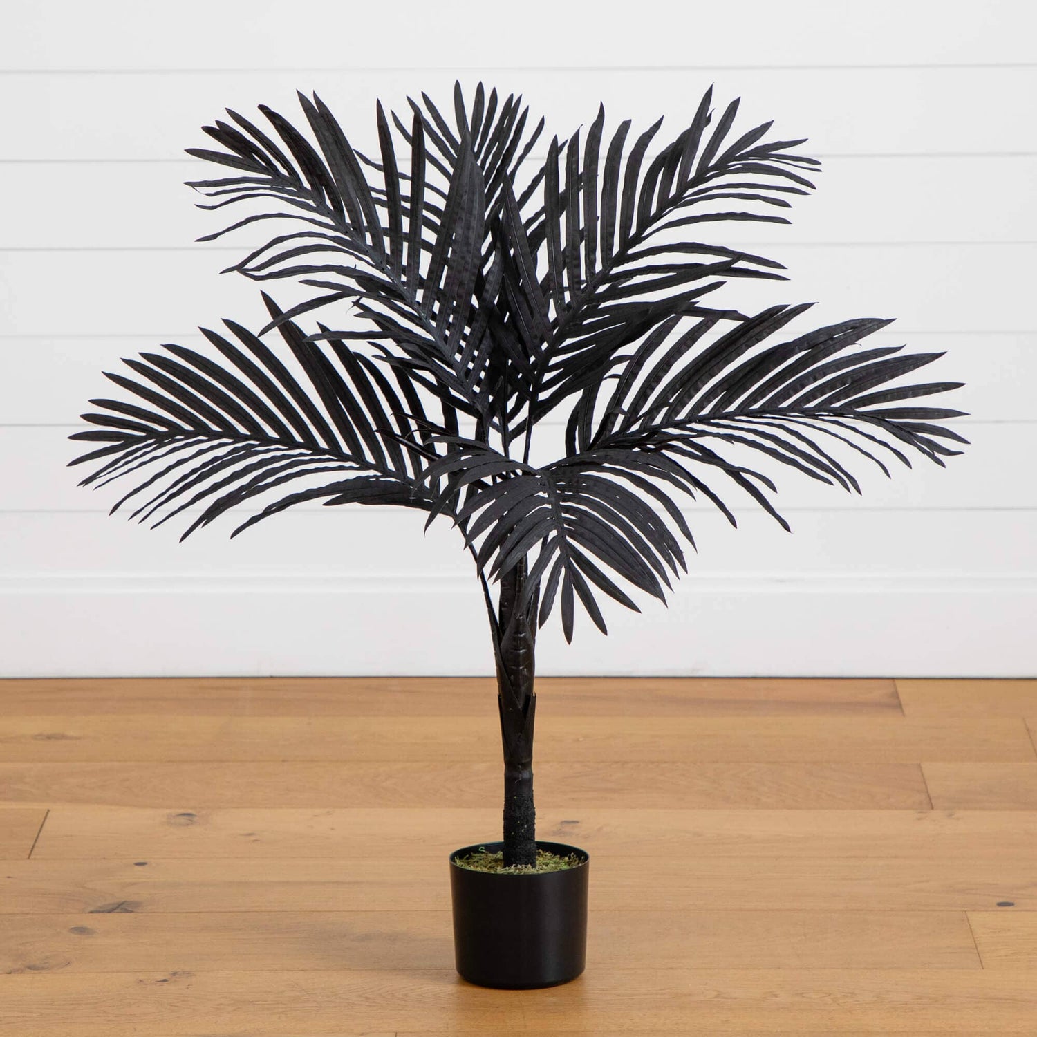 3' Artificial Halloween Black Golden Cane Tree