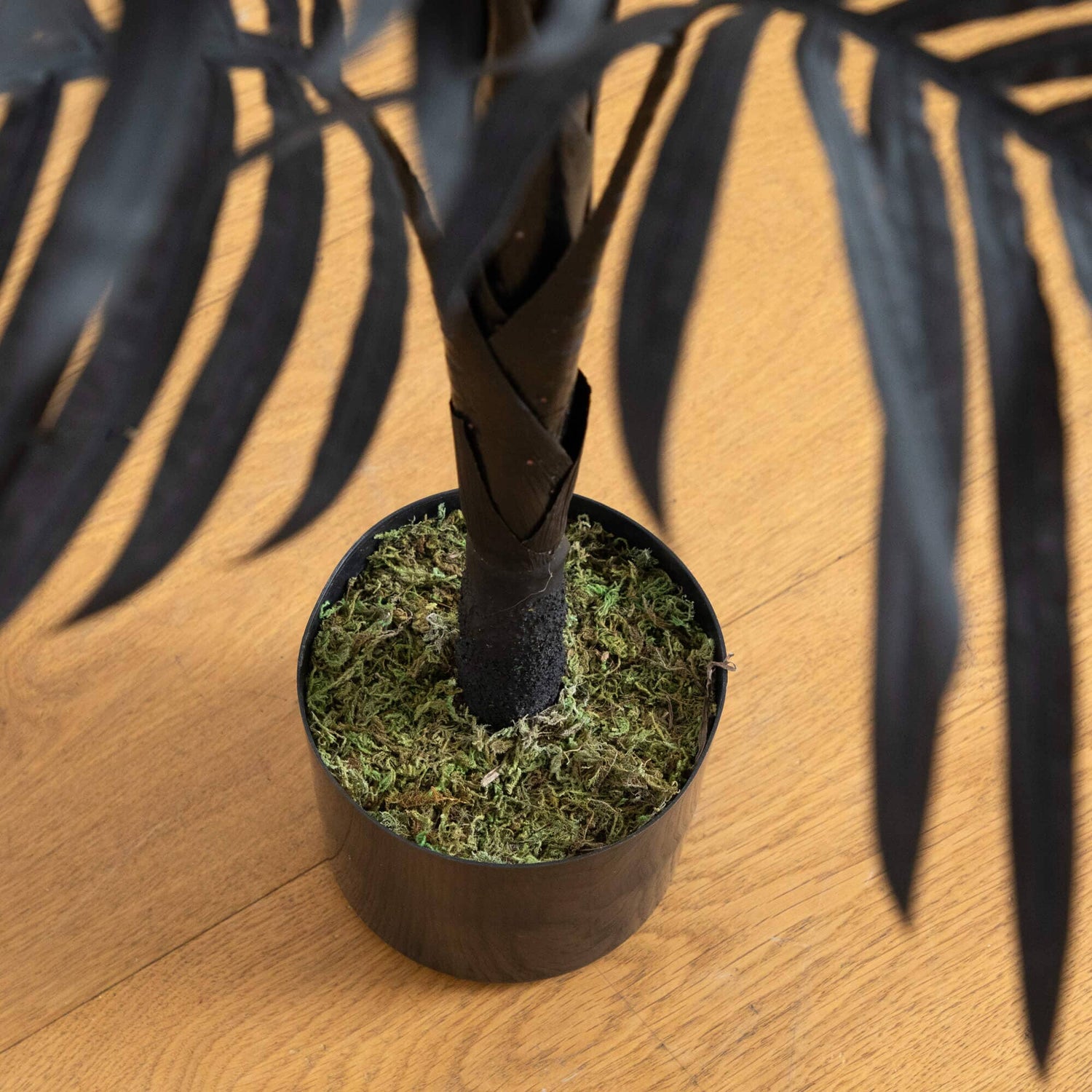 3' Artificial Halloween Black Golden Cane Tree
