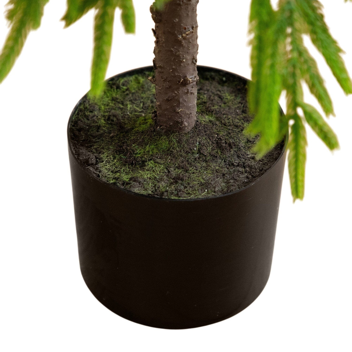 3' Artificial Real Touch Down Swept Norfolk Pine Tree with Natural Look