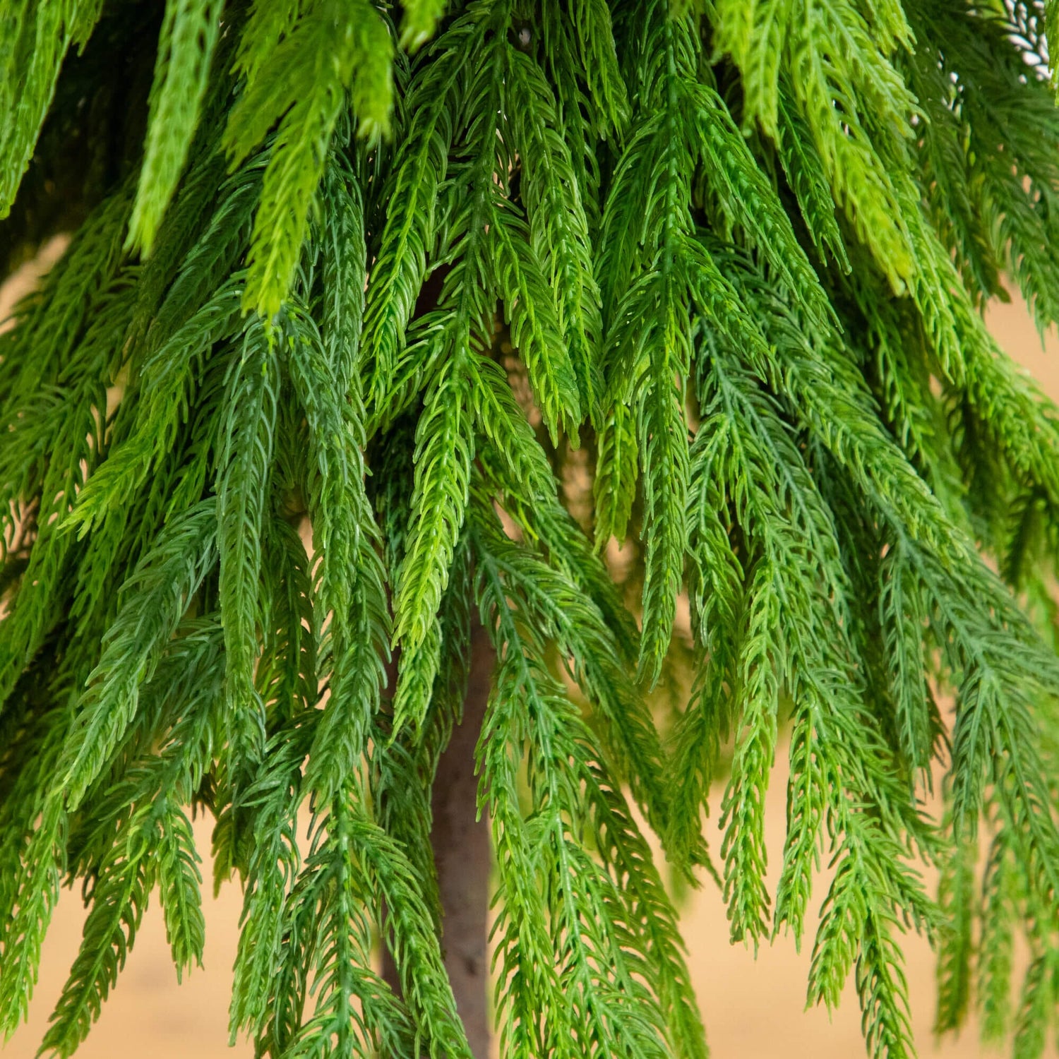 3' Artificial Real Touch Down Swept Norfolk Pine Tree with Natural Look