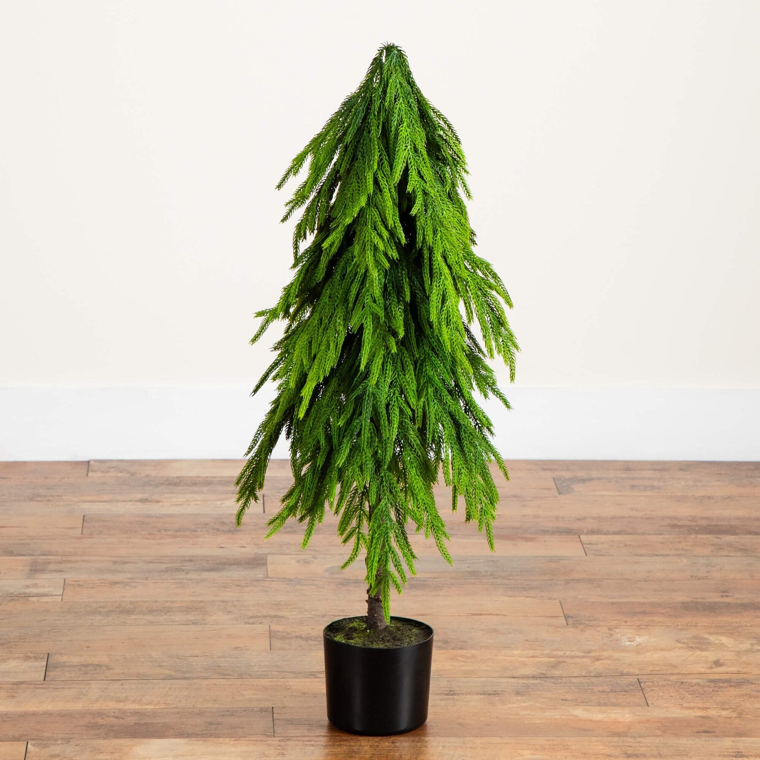3' Artificial Real Touch Down Swept Norfolk Pine Tree with Natural Look
