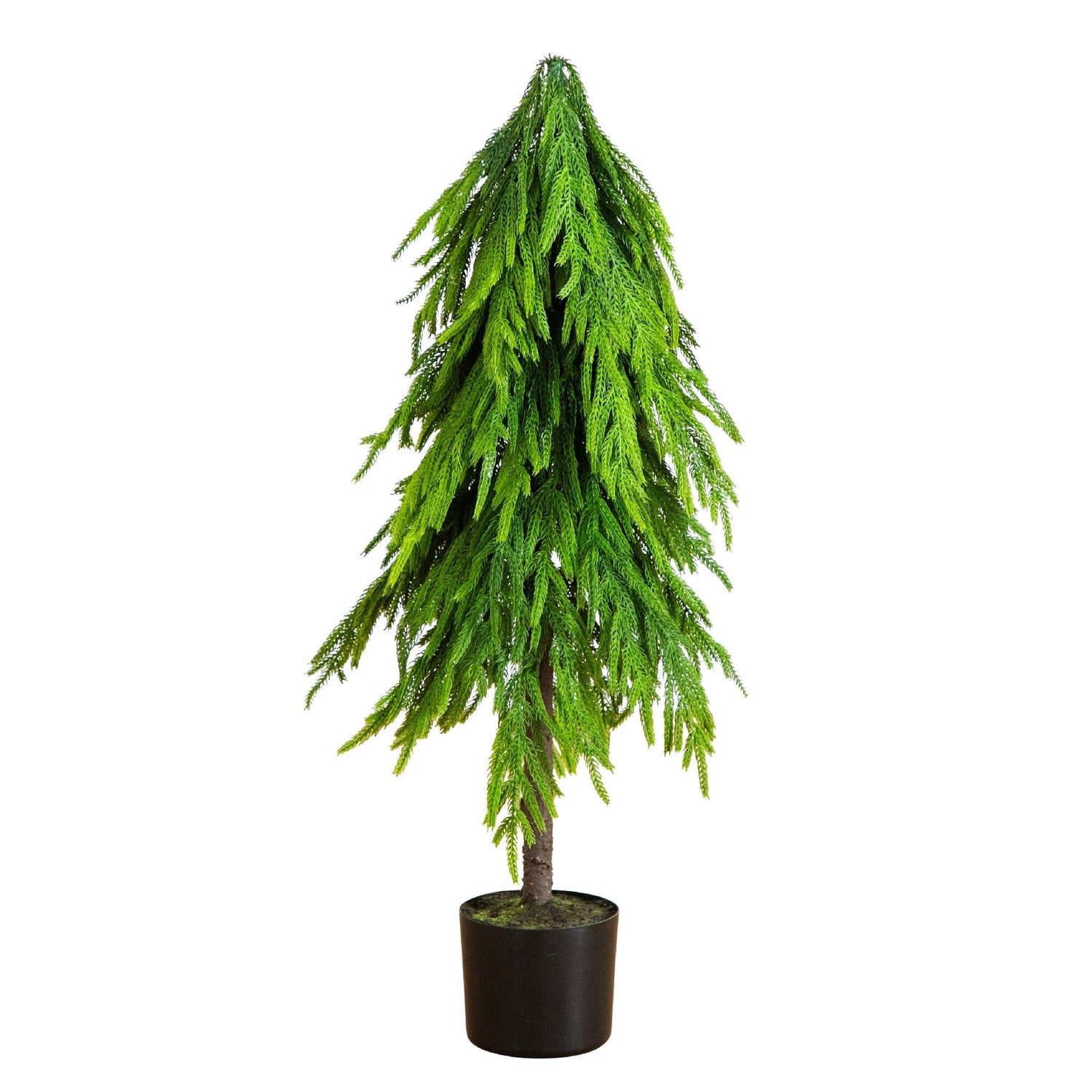 3' Artificial Real Touch Down Swept Norfolk Pine Tree with Natural Look