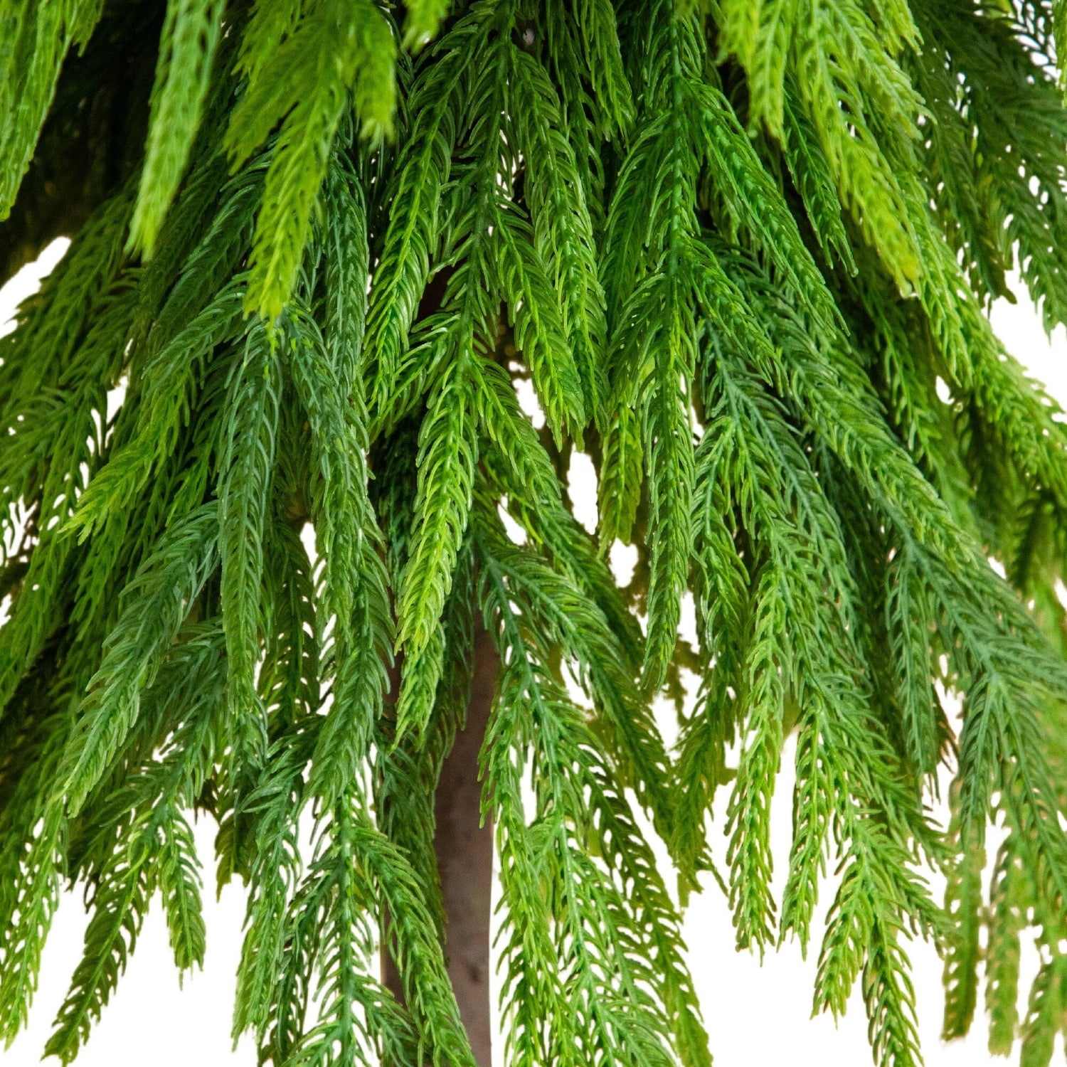 3' Artificial Real Touch Down Swept Norfolk Pine Tree with Natural Look