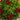 3' Pre-Lit Artificial Christmas Ornament Boxwood Topiary Tree with 70 Warm White LED Lights