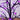 3' Pre-Lit Artificial Halloween Spider Twig Tree with 36 Purple LED Lights