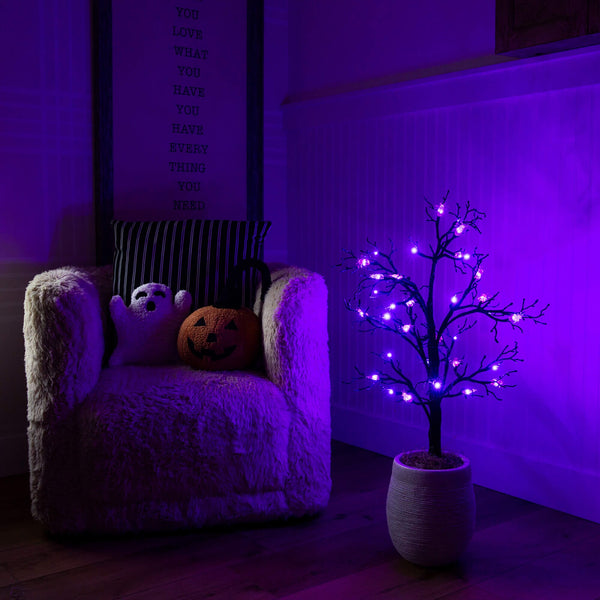 3' Pre-Lit Artificial Halloween Spider Twig Tree with 36 Purple LED Lights