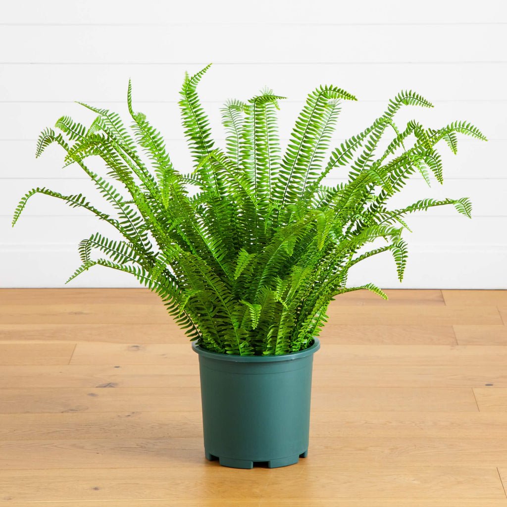 tall indoor plants home depot 3-ft UV Resistant Artificial Real Touch Boston Fern Plant (Indoor/Outd –  Nearly Natural
