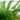 3-ft UV Resistant Artificial Real Touch Boston Fern Plant (Indoor/Outdoor)
