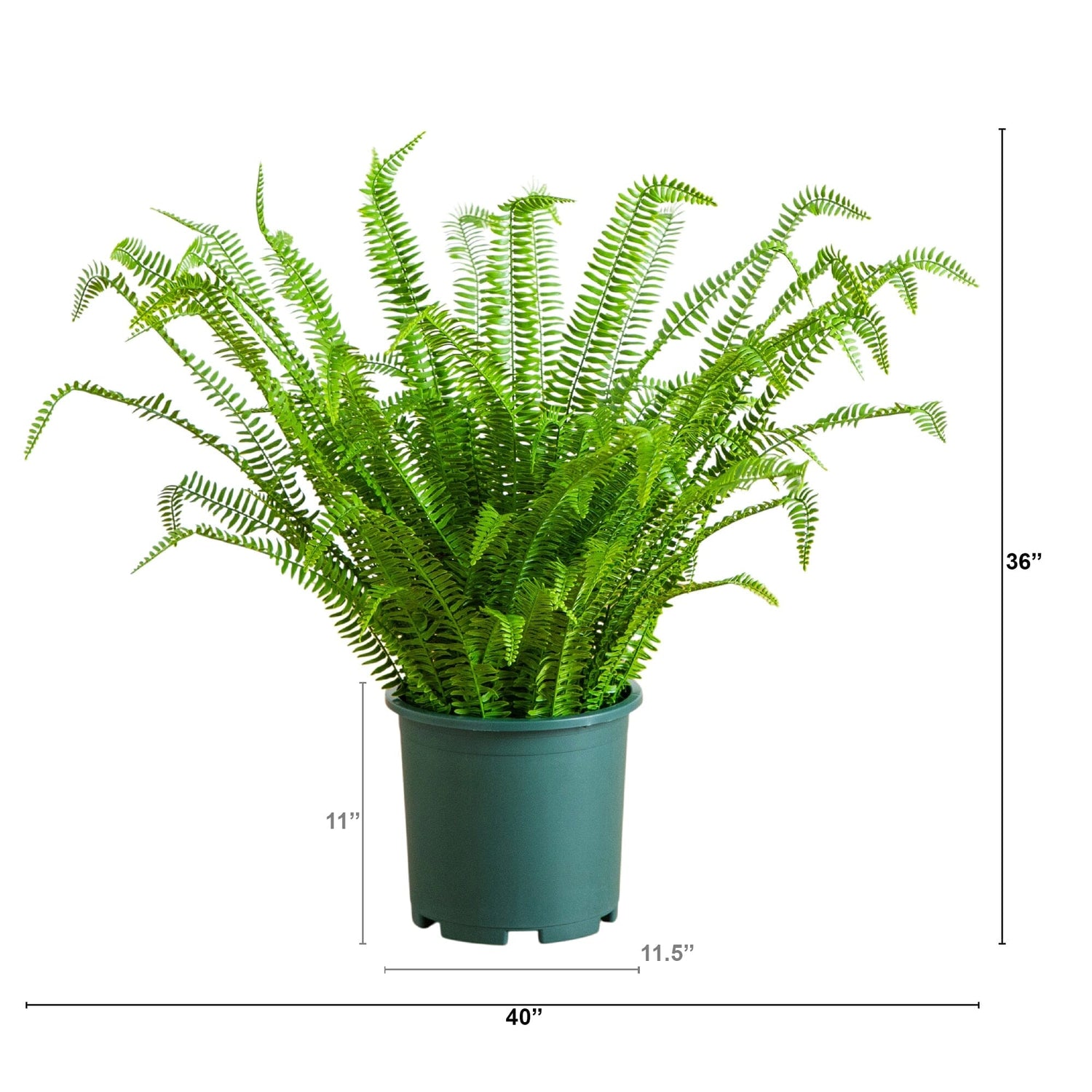 3' UV Resistant Artificial Real Touch Boston Fern Plant (Indoor/Outdoor)