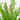3-ft UV Resistant Artificial Real Touch Boston Fern Potted Plant (Indoor/Outdoor)