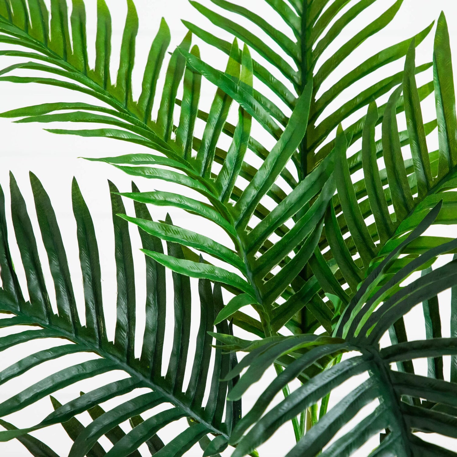 3' UV Resistant Artificial Double Robellini Palm Tree (Indoor/Outdoor)