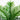 3' UV Resistant Artificial Double Robellini Palm Tree (Indoor/Outdoor)