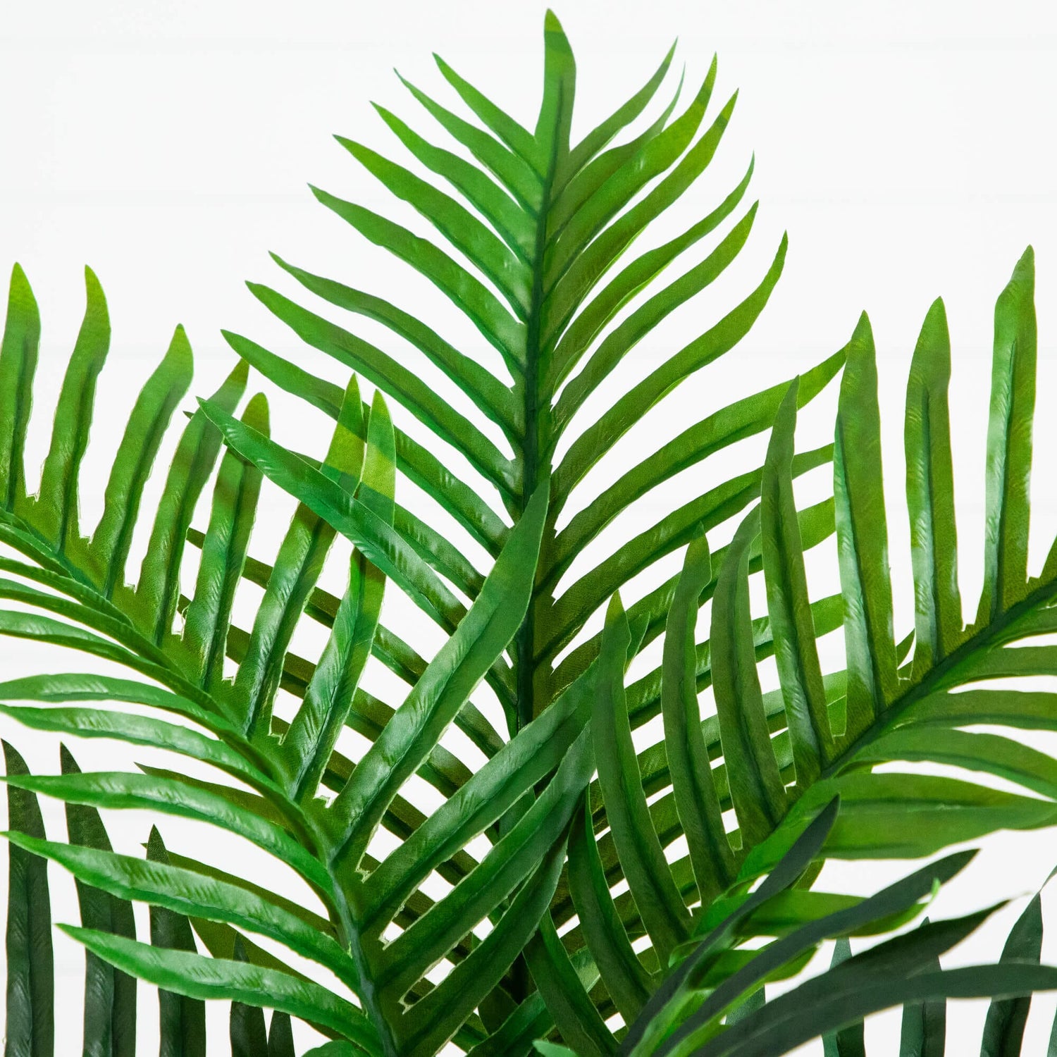 3' UV Resistant Artificial Double Robellini Palm Tree (Indoor/Outdoor)