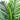 3’  Paradise Palm Artificial Tree