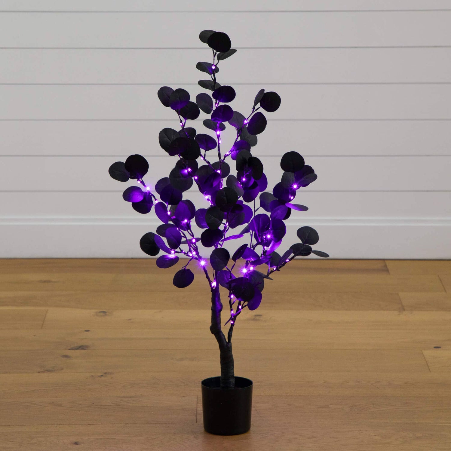 3' Pre-Lit Artificial Halloween Black Eucalyptus Tree with 80 Orange & Purple LED Lights