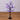3' Pre-Lit Artificial Halloween Spider Twig Tree with 36 Purple LED Lights
