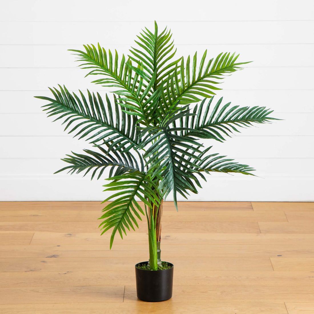 palm plant in bedroom 3' UV Resistant Artificial Double Robellini Palm Tree (Indoor/Outdoor)