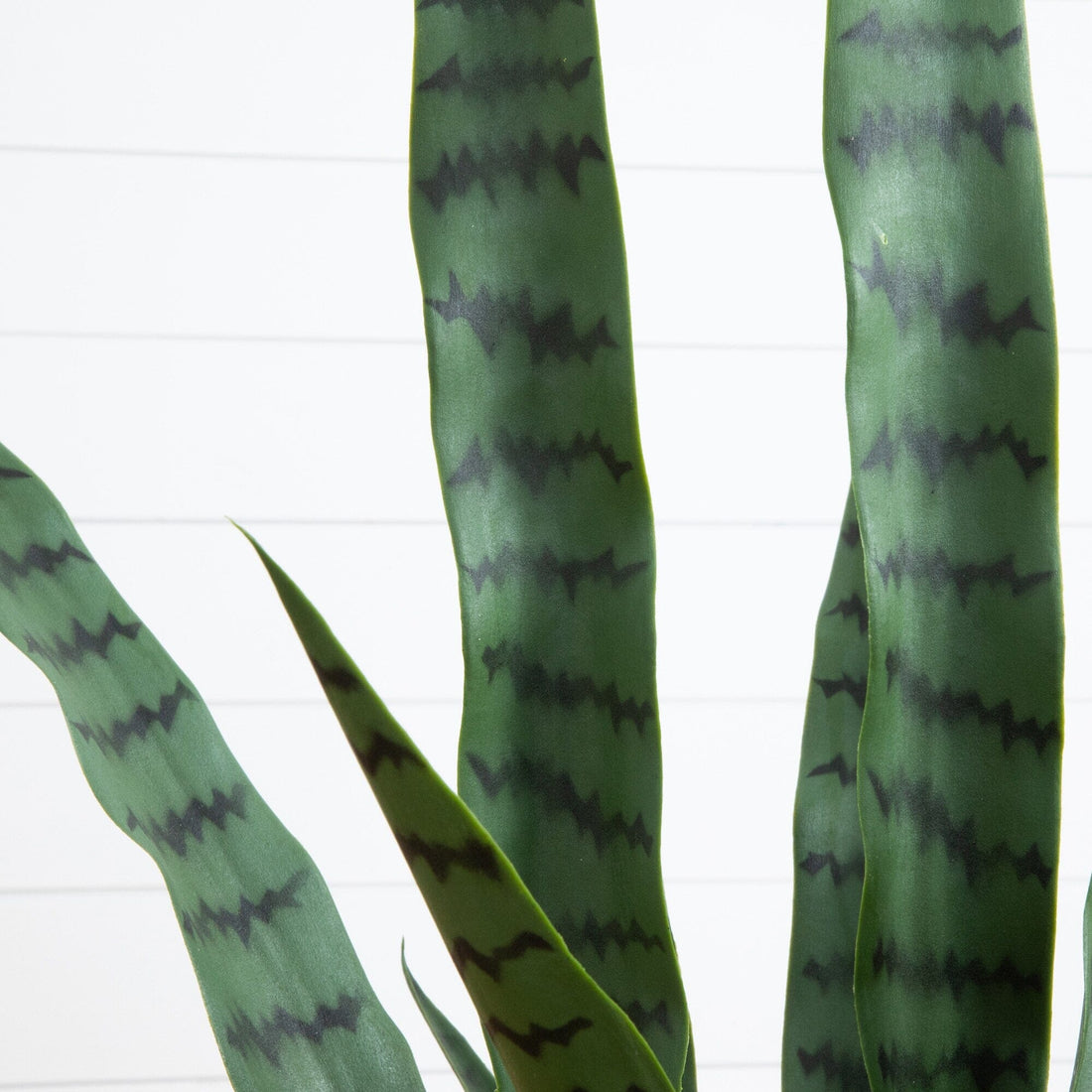 nearly natural snake plant 3' UV Resistant Artificial Sansevieria Plant in White Decorative Planter (Indoor/Outdoor)